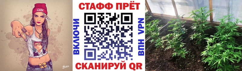 Продажа наркотиков Волчанск MDMA A PVP ГАШ АМФ Псилоцибиновые грибы KRAKEN ССЫЛКА COCAIN Меф мяу мяу