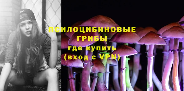 СК Володарск