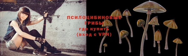 СК Володарск