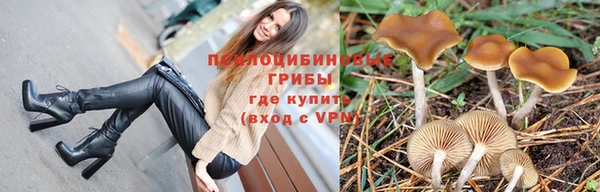 a pvp Волосово